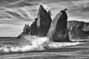 wave, beach, rialto, olympic national park, washington, sea 