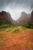 Court of the Patriarchs, zion national park, rain, storm, sh