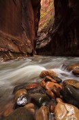 zion national park, narrows, virgin river, stream