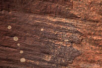 sandstone wall, abstract, images, beautiful