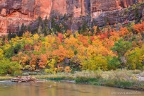 zion, the bend, autumn, color