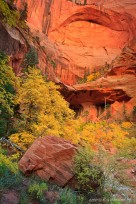 double arch, zion, glow, autumn, kolab, taylor creek, 