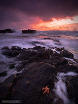 oregon, starfish, ocean, yachats, sunset, waves, 