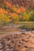 virgin river, glow, autumn color, 