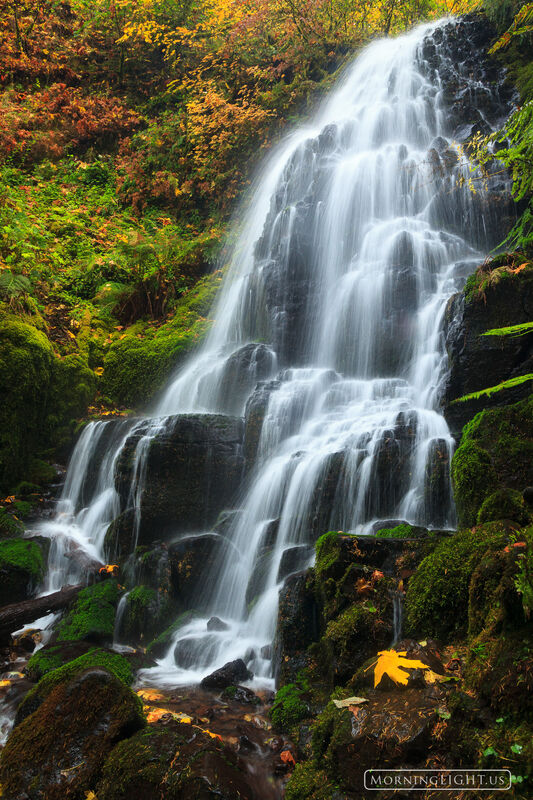 Fairy Falls Autumn : Columbia River Gorge, Oregon. : Morning Light ...