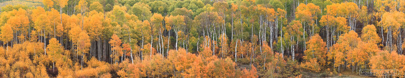 McClure Pano 1 photo mcclure pass, colorado, panoramic, aspen, aspen grove, , photo