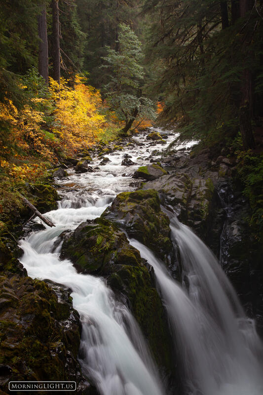 Sol Duc Falls Autumn : Olympic National Park, Washington : Morning ...