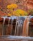 Canyon Falls print