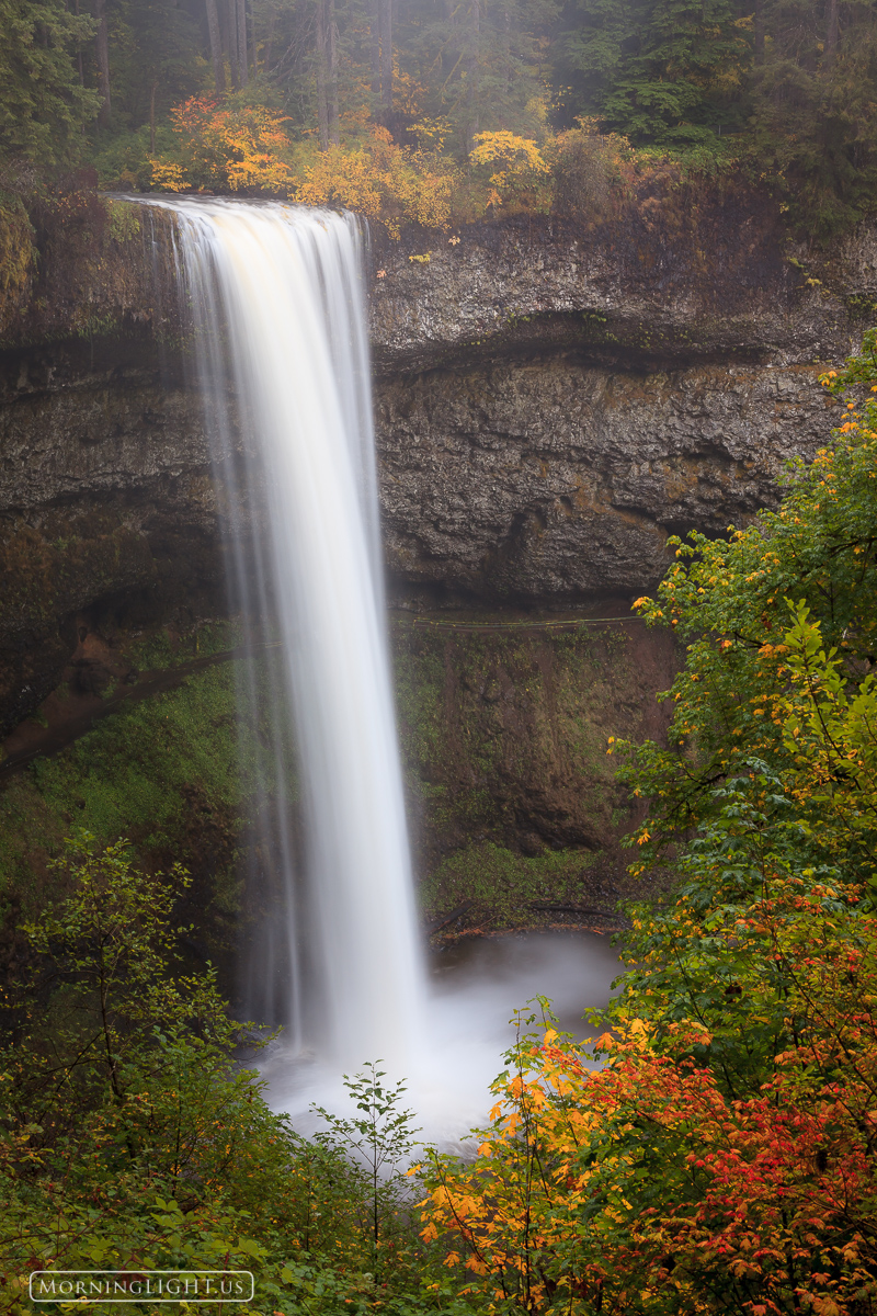 South Falls in Silver Falls State Park is a spectacular place, particularly when the leaves take on their autumn color.