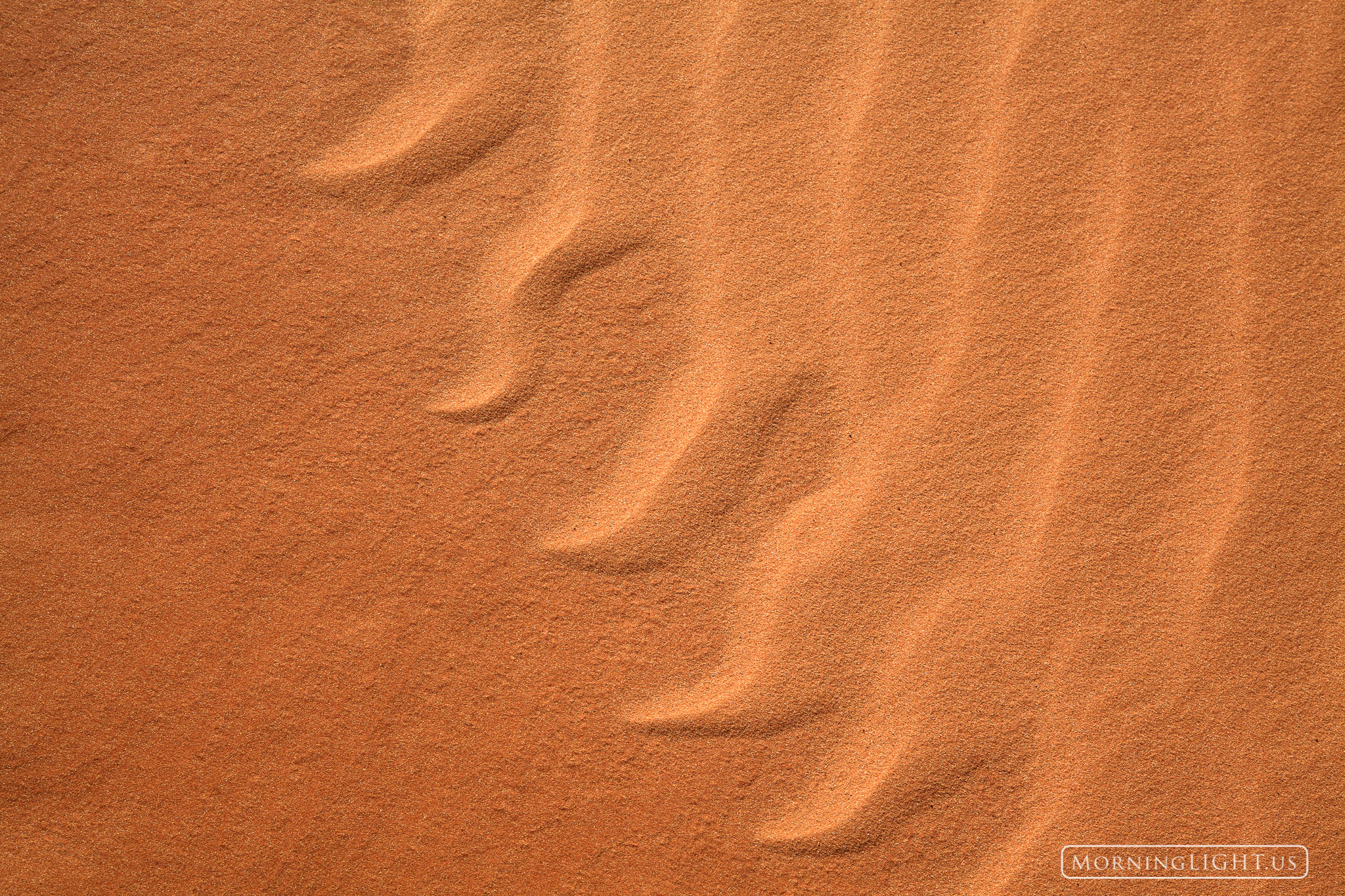 I took a very short side trip to have a look at Coral Pink Sand Dune State Park and was instantly mesmerized by the patterns...