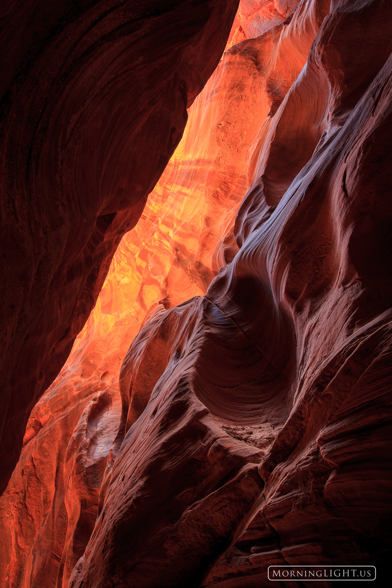 As I looked above me in Buckskin Gulch the upper reaches of the canyon glowed as if heated by fire. Every time I hike here I...
