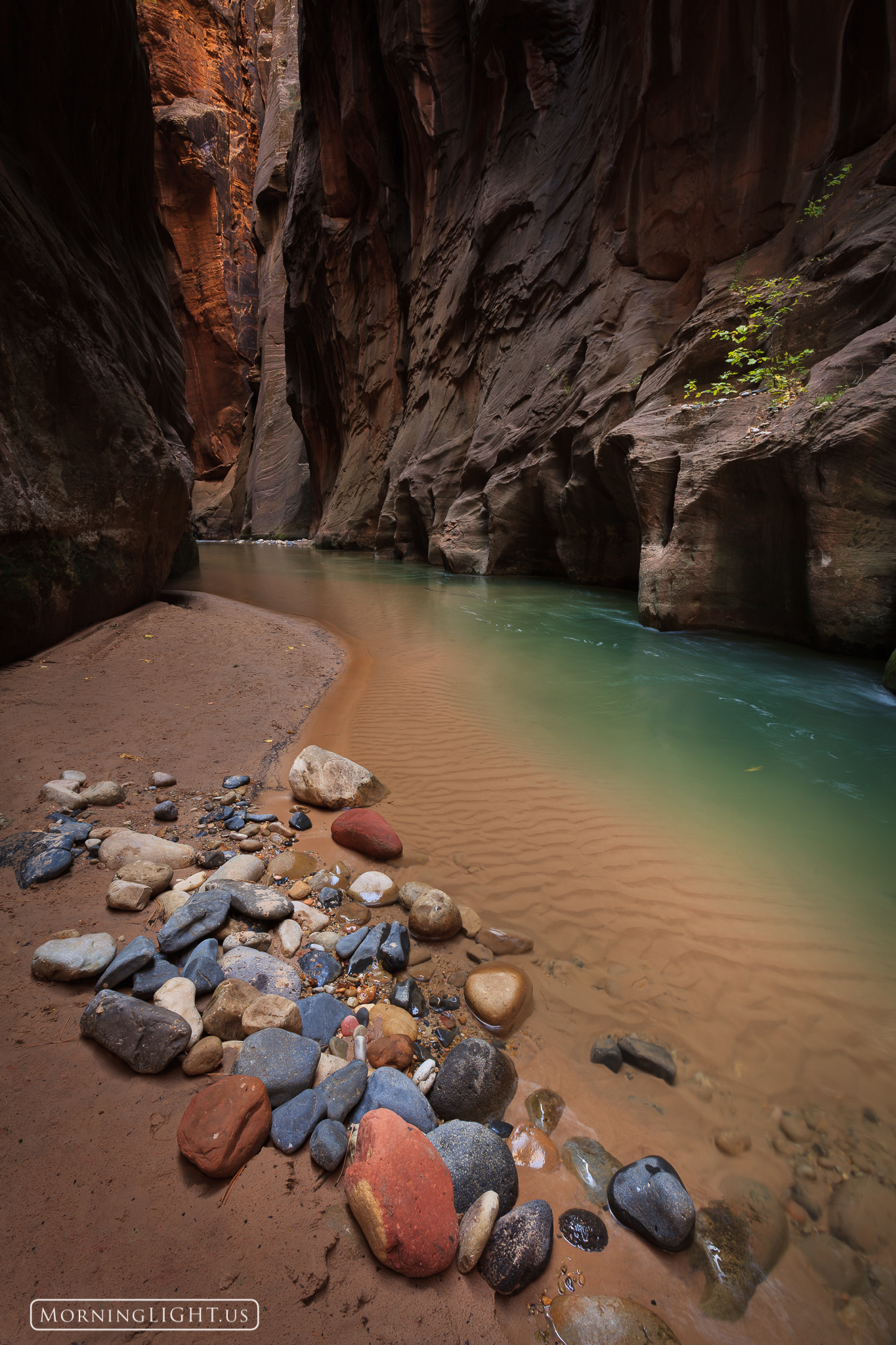 The Narrows in Zion National Park is one of the most spectacular places. It is a small crack in the earth about 150 feet deep...