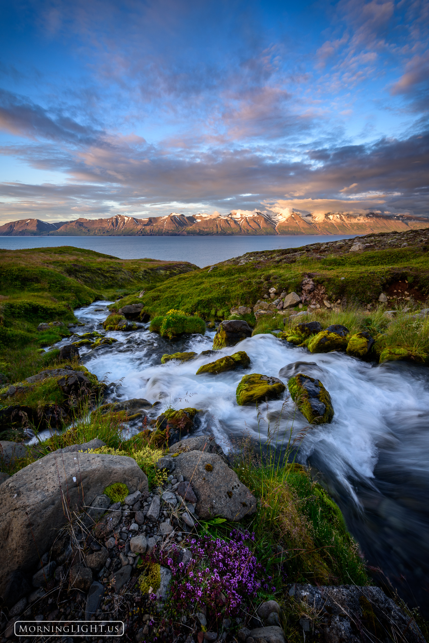 A rushing stream makes its way down the lush slope and into the arctic sea.