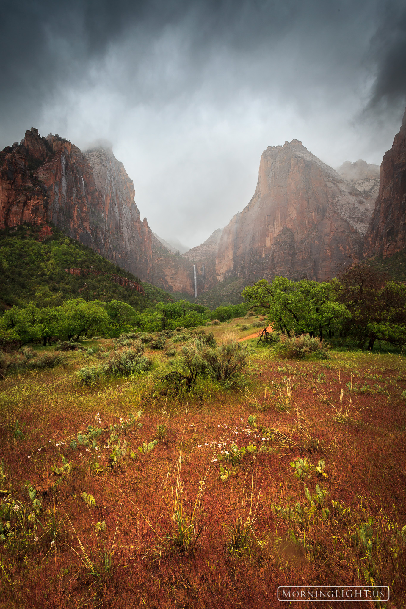 I was fortunate enough to be in Zion during a spring storm. This is a very special time as the clouds hang over the dramatic...